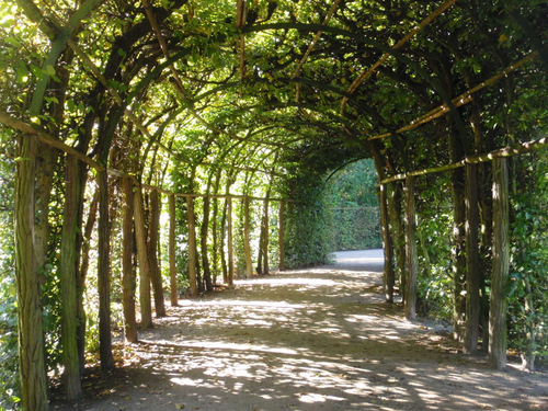 Shrub and Flower Tunnel.